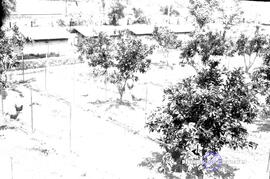 image 01