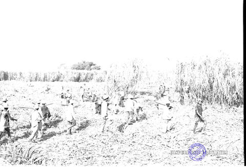 Original Objek Digital not accessible