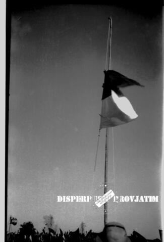 Original Digital object not accessible