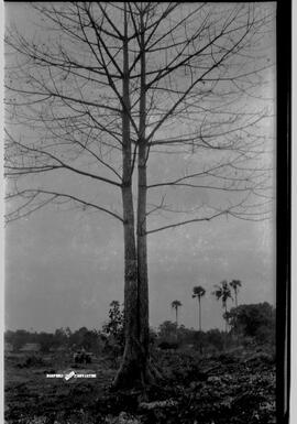 image 01