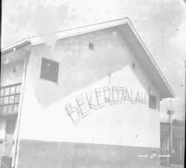image 01