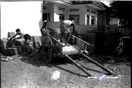 image 01