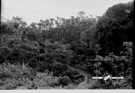 image 01