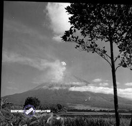 Desa Supit Urang Lumajang dengan latar belakang Gunung Semeru, foto diambil pada saat promotion t...