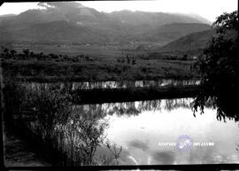 image 01