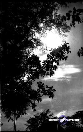 image 01