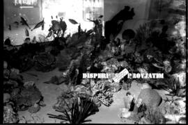 Stand pameran dari maluku dan Irian Barat  berisikan produk hasil kekayaan laut seperti miniatur ...