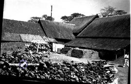 image 01