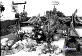 image 01