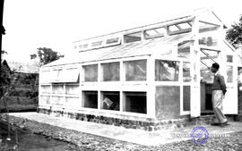 Rombongan Kalimantan ke Djawatan Perkebunan (pertanian) Punten, tanggal 11 April 1955 Batu Malang...