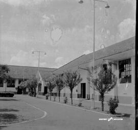 image 01