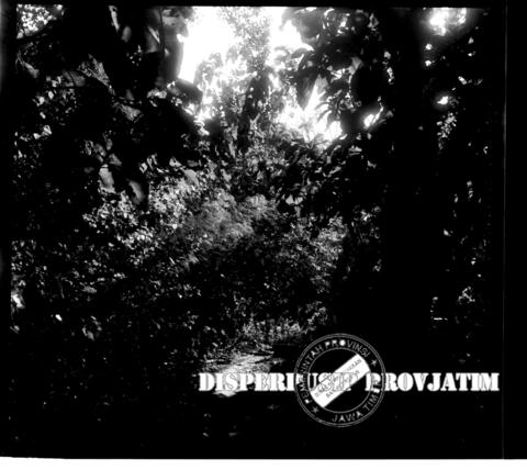 Original Objek Digital not accessible