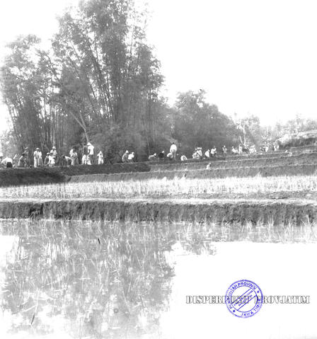 Original Objek Digital not accessible