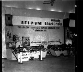 image 01
