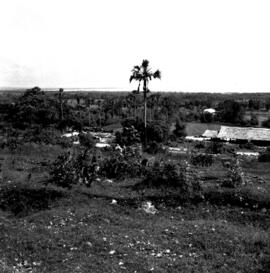 image 01