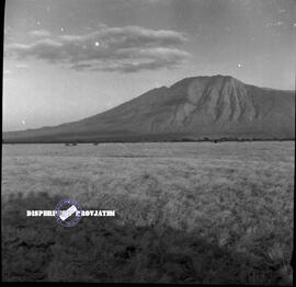 Padang savana Taman Nasional Baluran foto diambil pada saat kegiatan Promotion Tour Taman Nasiona...
