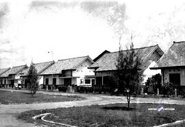 image 01