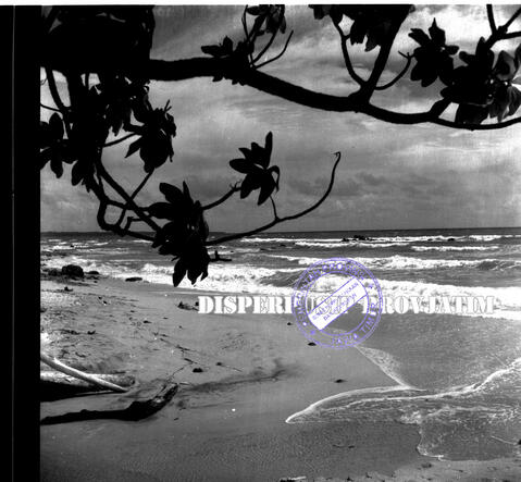 Original Objek Digital not accessible
