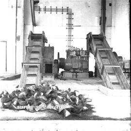 image 01