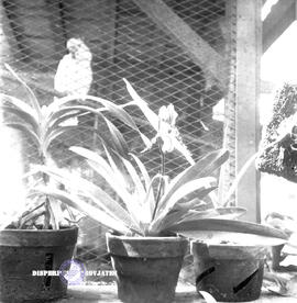 image 01