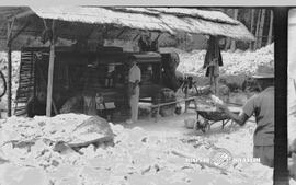 image 02