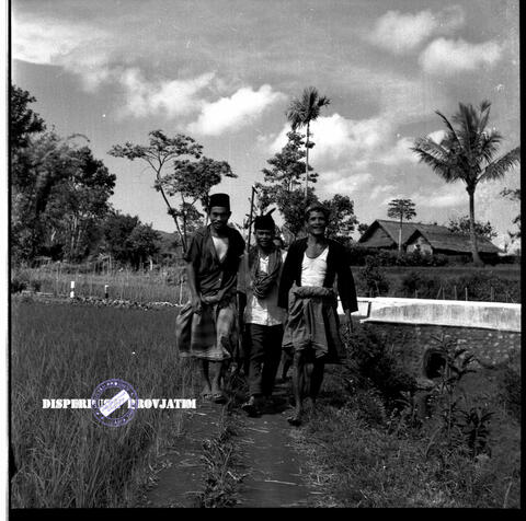Original Objek Digital not accessible