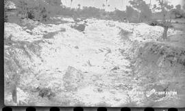 image 01