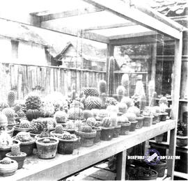 image 01