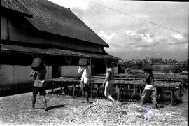 image 01