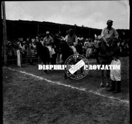 Suasana lomba pacuan (patjuan) kuda di jombang (djombang) jawa timur, 26 – 8 – 1956