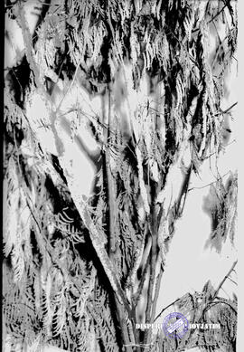 image 01