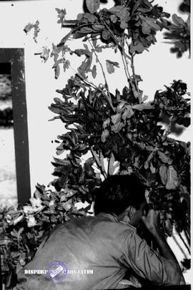 image 01
