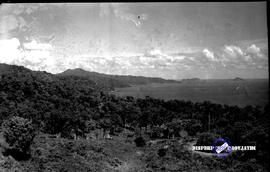 Proyek Neyama dan Karangkates Diagram bendungan Karangkates Tanggal 17 April 1959