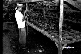 Rombongan Kalimantan ke Djawatan Perkebunan (pertanian) Punten, tanggal 11 April 1955 Batu Malang...