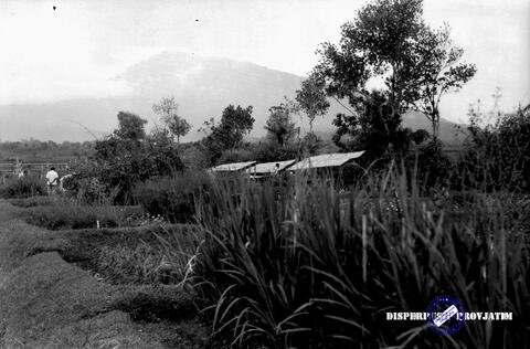 Original Objek Digital not accessible
