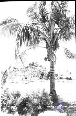 image 01