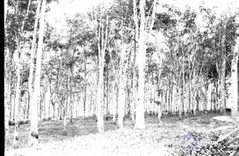 image 01