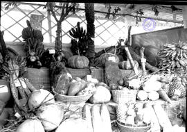 image 01