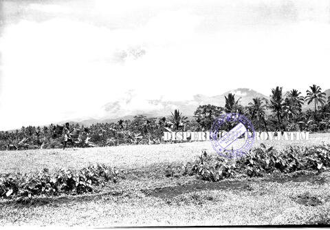 Original Objek Digital not accessible